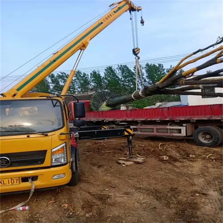 通山100吨吊车租赁费用怎么算？3大关键因素+省钱技巧全解析